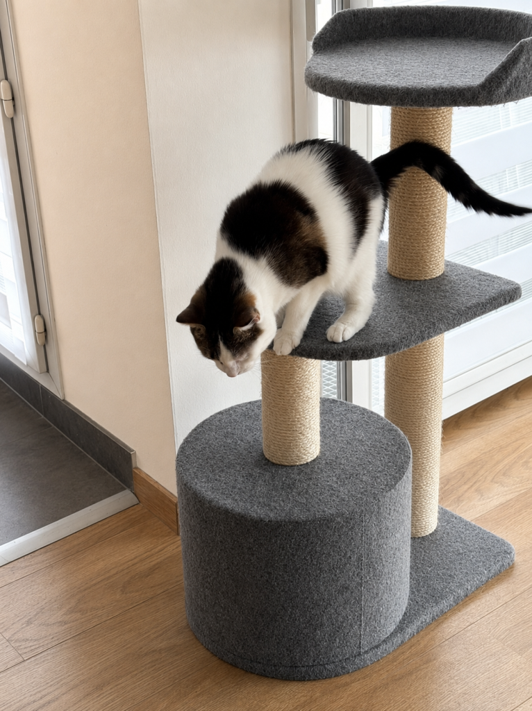 Minette sur son arbre à chat après avoir dormi